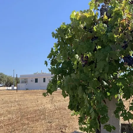 Bei Tempi Holiday home