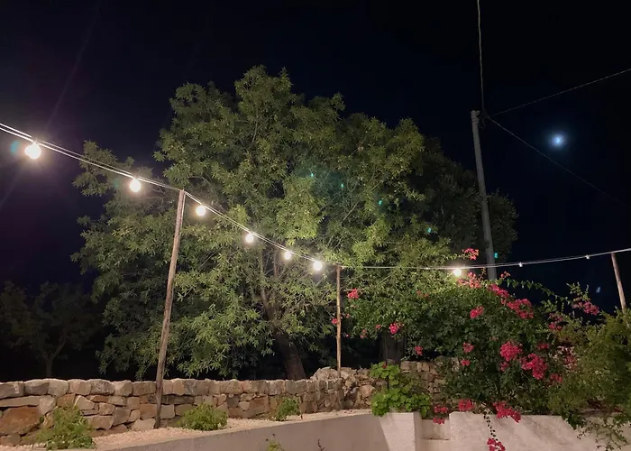 Bei Tempi * 폴리나노 아마레